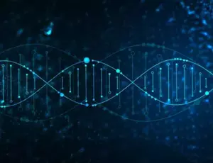 Genética