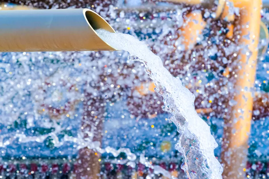 Purificación & Desinfección