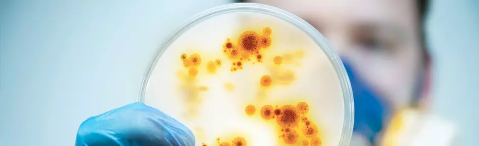 Água Ultrapura em Microbiologia