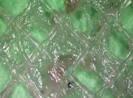 Controle Biológico de Membranas