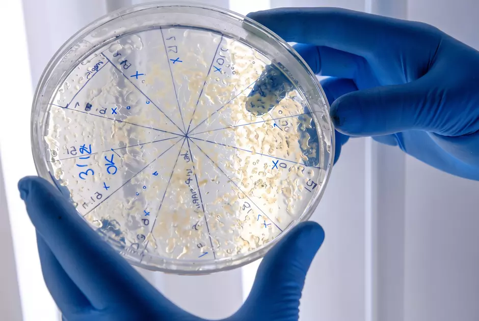 Controle de Biofilmes em Sistemas de Água Purificada